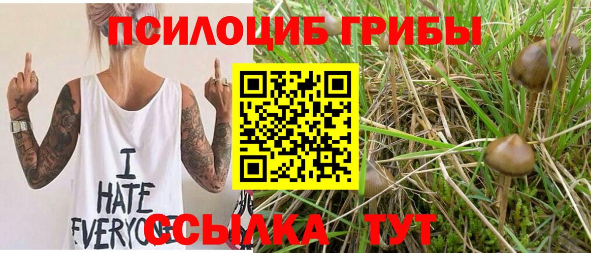 Юрга  Псилоцибиновые грибы GOLDEN TEACHER  Вход с VPN 