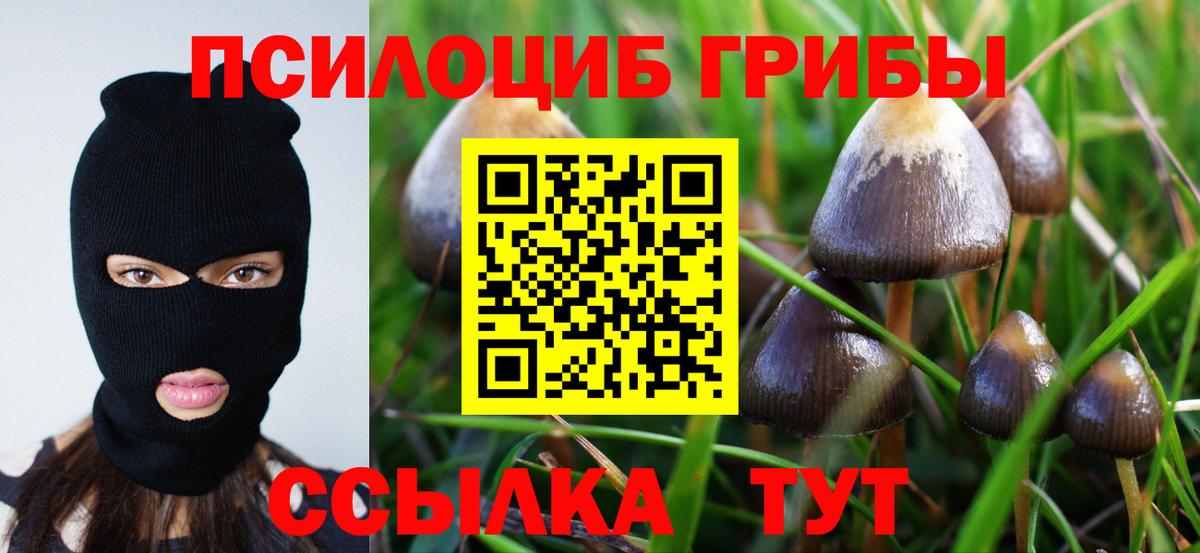 Псилоцибиновые грибы GOLDEN TEACHER Юрга